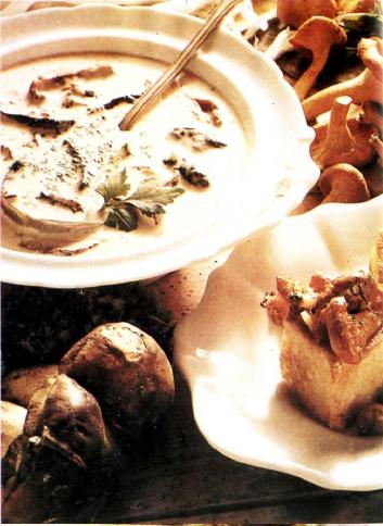 Белые грибы в сливочном соусе
