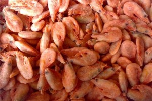 Креветки Креветки