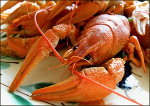 Вареные раки Вареные раки