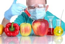 Понимание генетически модифицированных продуктов питания