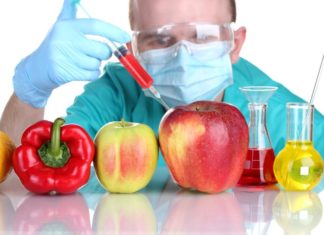 Понимание генетически модифицированных продуктов питания